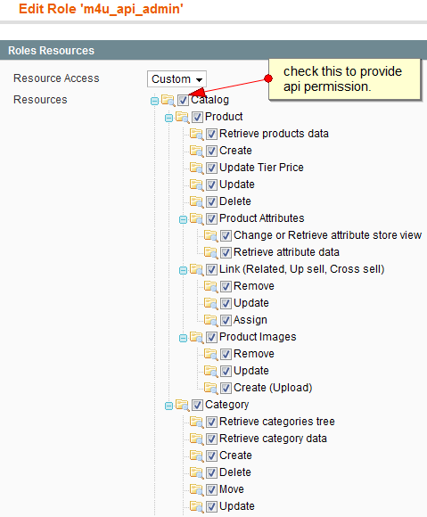 Set api permission on role