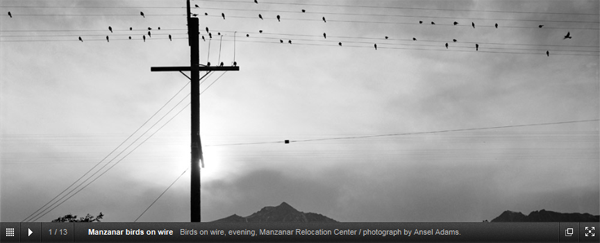 Galleria – The JavaScript Image Gallery